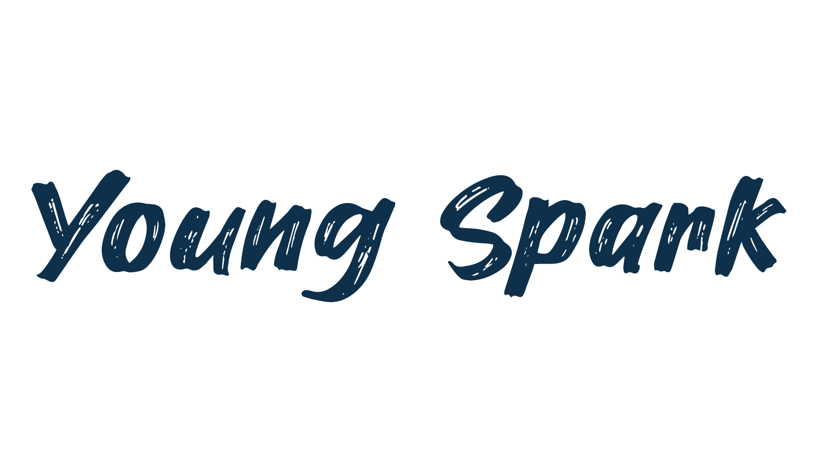 Young Spark, script brush fancy decorative calligraphy font preview