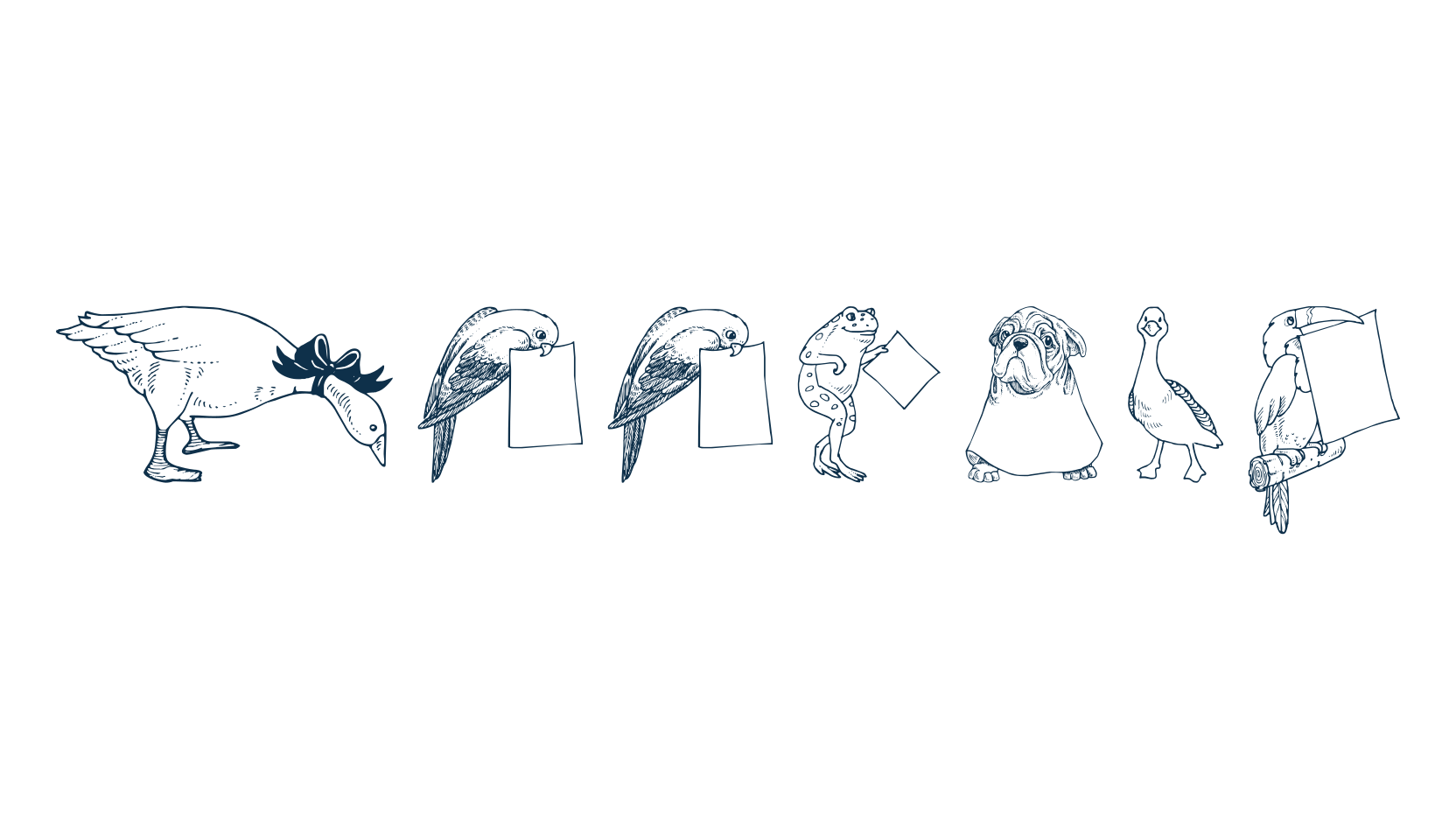 Zooland, fancy decorative font preview